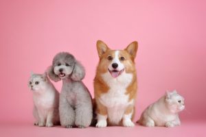 幸せの定義は、人生その時々で変わるもの。「幸せはよい人間関係がつくる」