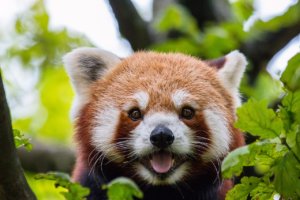 人の痛みがわかる人になるなんて不可能!綺麗事より冷静な観察が大事。