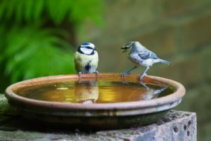 説明能力を鍛えるには、ストーリーシェアトレーニングが最適