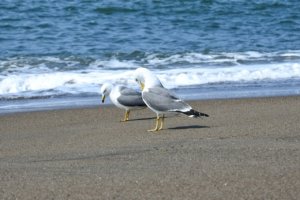 恋愛、結婚する資格がないってイミフ。それは自己評価が低すぎるだけさ。