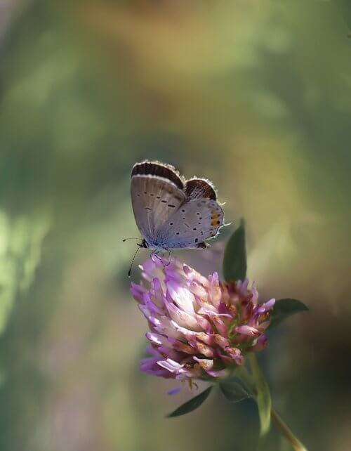 「優しさ」とはそもそも何なんだろうか？少なくとも自己犠牲は優しさではない。