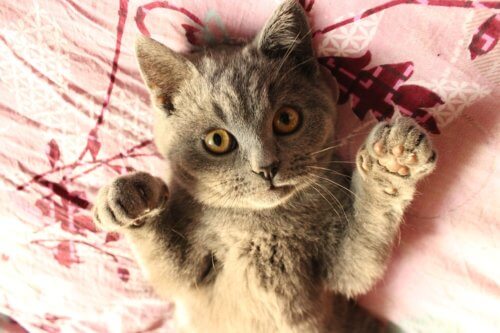 「人生諦めが肝心」の意味を誤解しちゃいけない。諦めはゴールの修正だ。