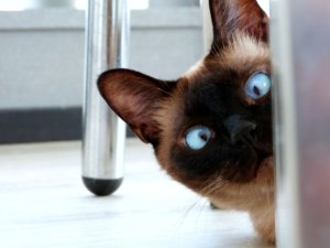 ユーモアを鍛える方法を年中人を笑わせることばかり考えてるやつが教える