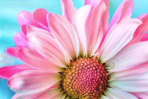 「本当の自分」がわからない?自分らしさって何かな?