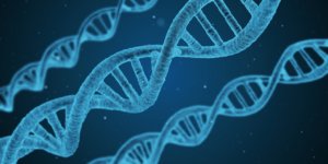 進化心理学ってなんですのん?人の心理は全て進化の観点から説明できる?