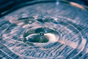 「透明性の錯覚」あなたのことはあなたが思うより相手は知らない。