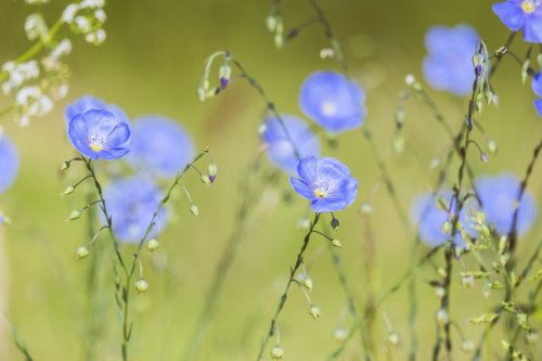 HSPは「本当に優しい」のか?攻撃的な人はいないのか?考えてみた。