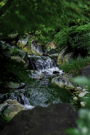 『あつまれどうぶつの森って何気に箱庭療法っぽくね?』という話。