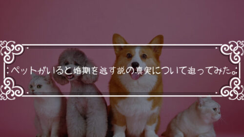 ペットがいると婚期を逃す説の真実について迫ってみた。