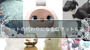 「ペットの代わりになるロボット6選」ペット型ロボットは一人暮らしの人にペットの代わりにおすすめ。