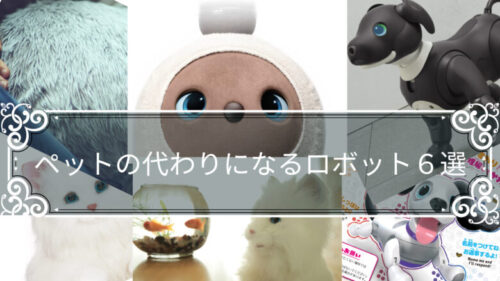 「ペットの代わりになるロボット６選」ペット型ロボットは一人暮らしの人にペットの代わりにおすすめ。