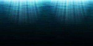 「ダサい」とは一体何?なぜダサいと感じる?「好き嫌いの決まる理由」