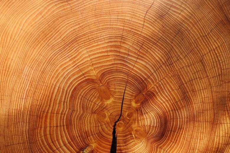 「木のぬくもり」木製製品には癒しの力がある。家に木製雑貨をおいてみよう。