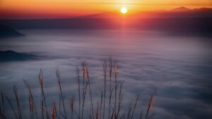 「どうせ死ぬんだから」と思うと吹っ切れる。死をまっすぐ見つめて生きよう