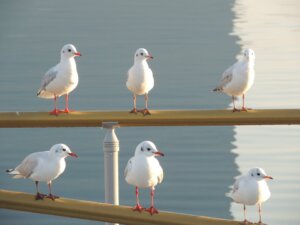 「みんな違ってみんないい」なんて綺麗ごとで大嫌い?「どいつもこいつも皆ダメ?」