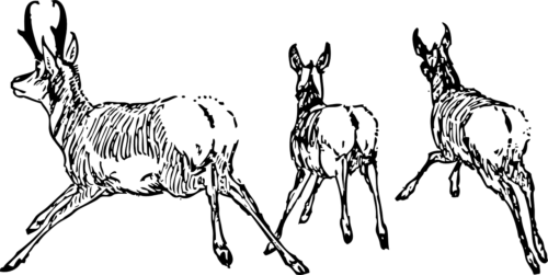 「対人関係過敏の人は老化しやすい」気が弱い臆病者は老けやすい？