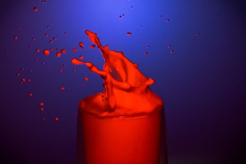 「タキサイキア現象」格闘漫画にありがちな物が遅く見える現象はマジ