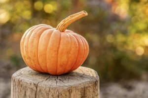 そろそろハロウィンなのでかぼちゃのメンタルケア効果等を調べてみた