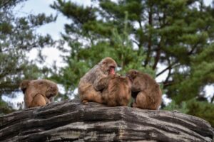 疲れて何もやる気が出ないならいっそ何にもしない時間を作ってみよう