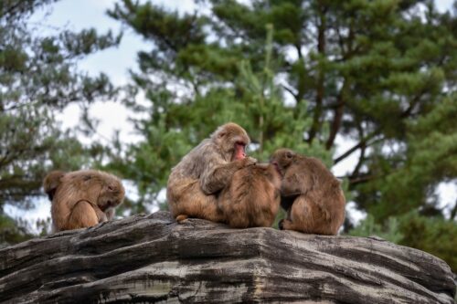 疲れて何もやる気が出ないならいっそ何にもしない時間を作ってみよう