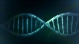 太りやすい人と太りにくい人は遺伝子からして違うって本当なのか?