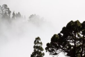 自分の存在理由がわからない、自信がない人ほど見えないものにすがる。