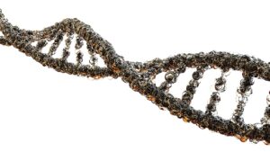 遺伝子を残したくない、子を残したくないと考えるってそんなに悪い?