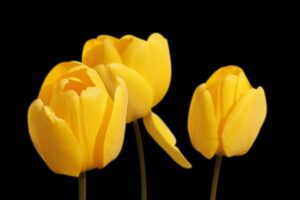 自分を愛せない人は他人も愛せないという言葉は果たして真実なのか?