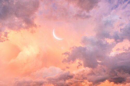 本当の優しさって結局「強さ」の上にしか成り立たないんじゃないか?