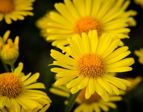 自分が気持ち悪いのは単なる自意識過剰？好きも嫌いもあなたの一部だ