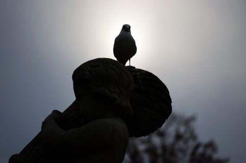 老いとは醜さでしかないのか？少し心理学的視点から考えてみようか￼