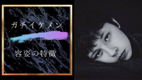 ガチのイケメンの容姿(特に顔）の特徴って何？「２０２４年版」