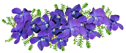 「大人しい性格は辛いし悪？」大人しい性格を変えたいならこの3つ￼